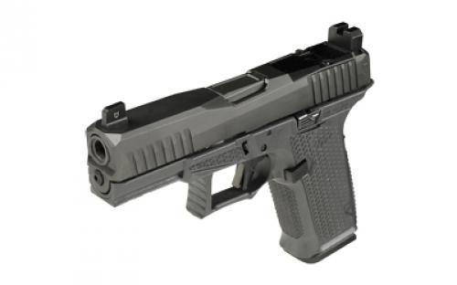 Lone Wolf Distributors Dusk19, Striker Fired, Semi-automatic, Polymer Frame Pistol, Compact, 9mm, 4.02" Gray Barrel, Matte Finish, Gray Slide and Frame, RMR Compatible Optic Cut, Front Night Sight/ Black Rear, 15 Rounds, 1 Magazine LWD-DUSK19-GG-Gray