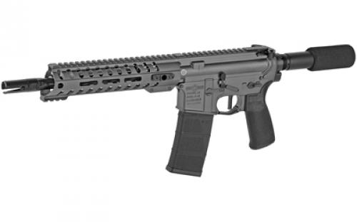 Patriot Ordnance Factory Minuteman, Semi-automatic, AR Pistol, 223 Remington/556NATO, 10.5" Barrel, Cerakote Finish, Tungsten, Standard AR Pistol Tube, Ambidextrous Safety Selector, 30 Rounds, 3.5lb Match Grade Trigger, 9" Renegade M-LOK Handguard, Ambidextrous Strike Eagle Charging Handle, 1 Magazine 01802
