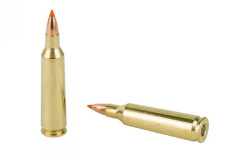 NOSLER Ballistic Tip Hunting, 22-250 Remington, 55Gr, Ballistic Tip, 20 Round Box 61034