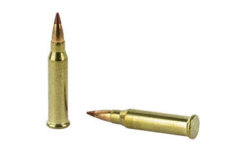 Winchester Ammunition Varmint HV, 17WSM, 20 Grain, Polymer Tip, 50 Round Box S17W20