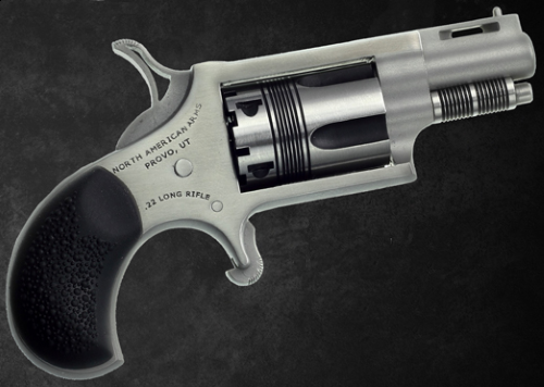 NORTH AMERICAN ARMS THE WASP 22LR REV 1-1/8 SS  