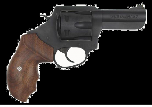 CHARTER ARMS THE PROFESSIONAL 357MAG 4.2  