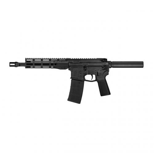 WARRIOR SYSTEMS WSM15 300BLK 11 BLK 30+1  